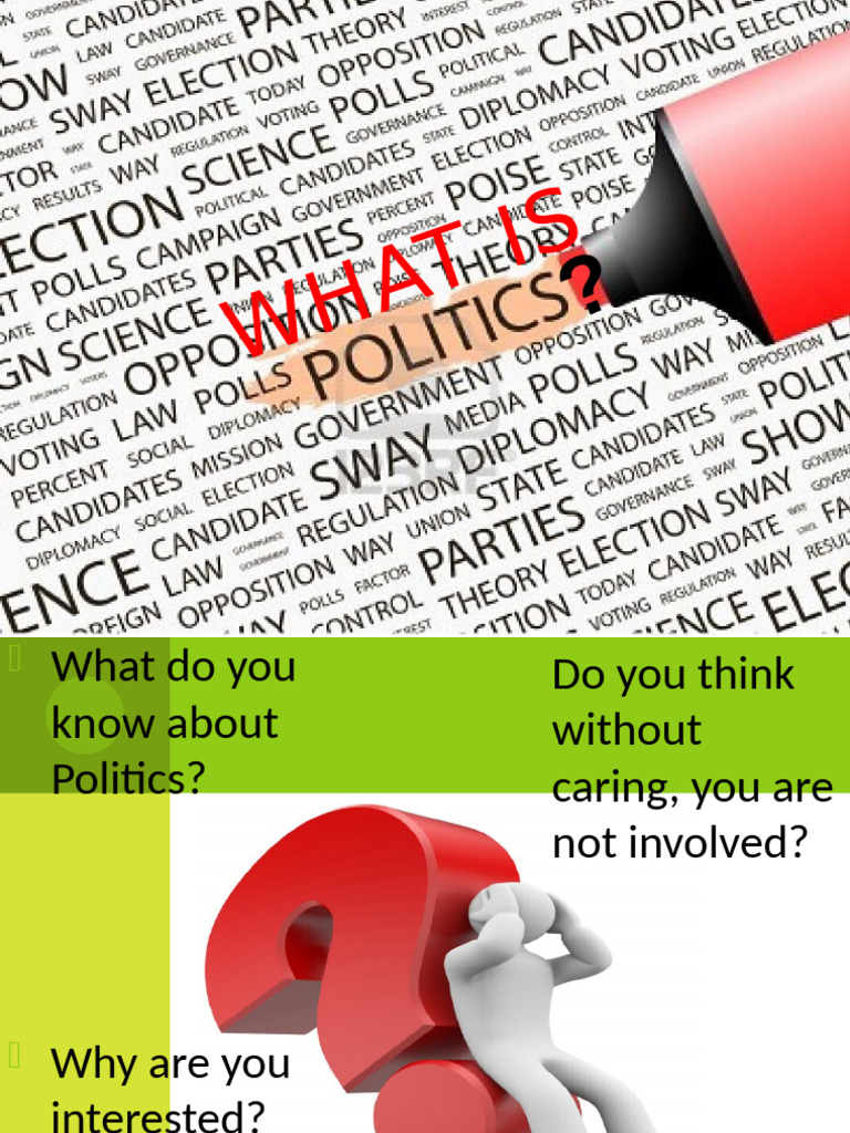 D1 - PPG - Defining Politics | PDF