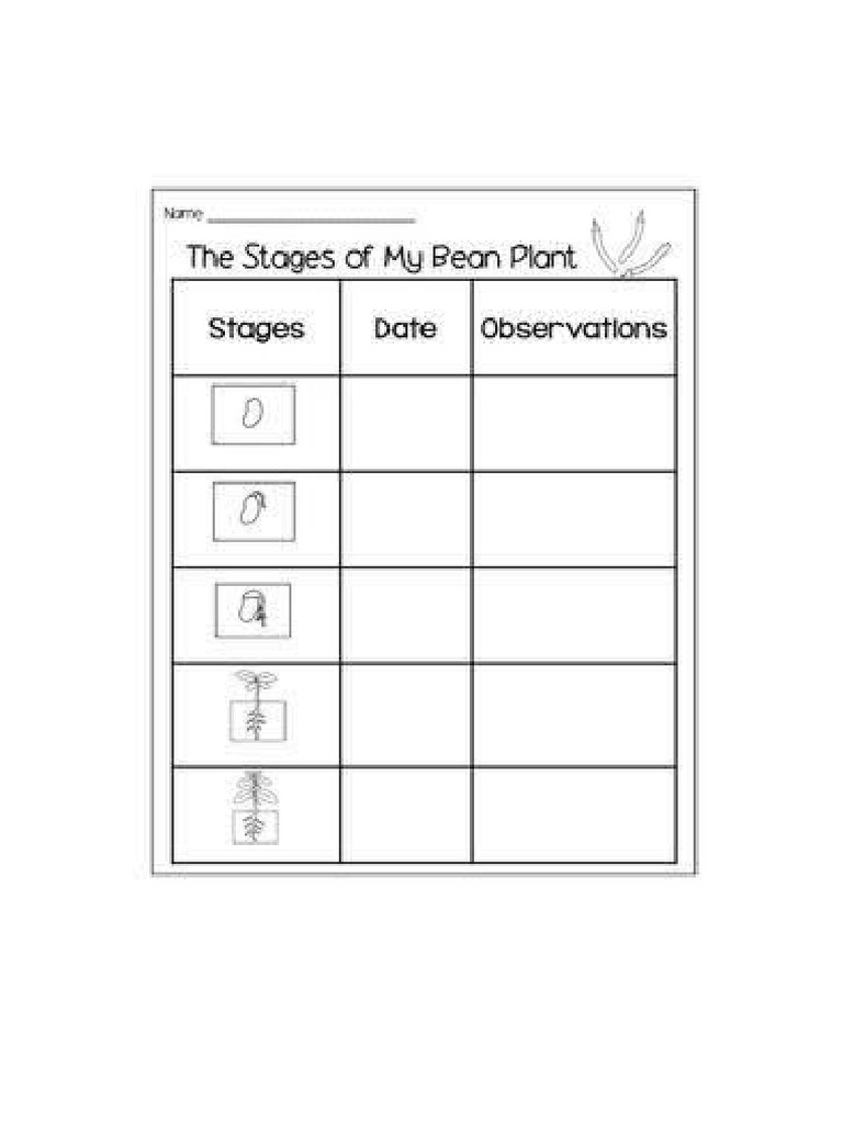 Bean | PDF