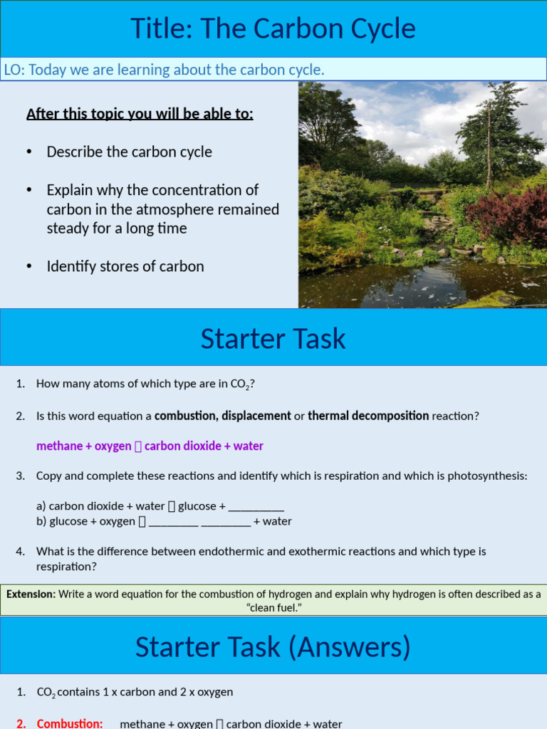 The Carbon Cycle | PDF