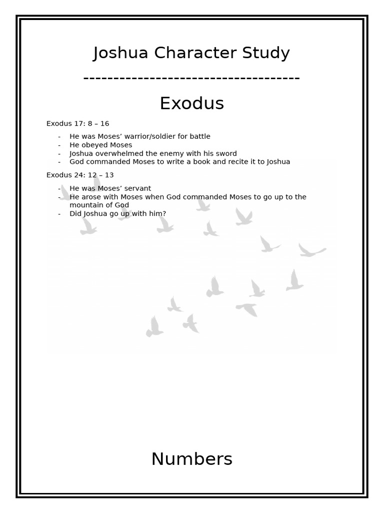 Joshua Character Study | PDF