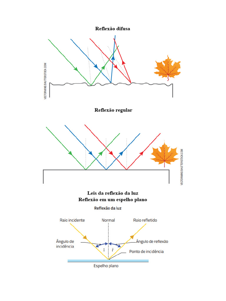 Exemplos de Reflexão Difusa | PDF | Autoajuda