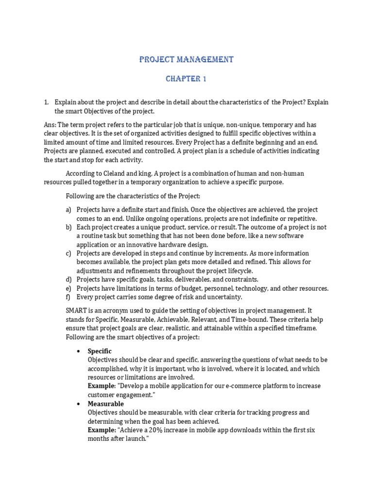 Project Management | PDF