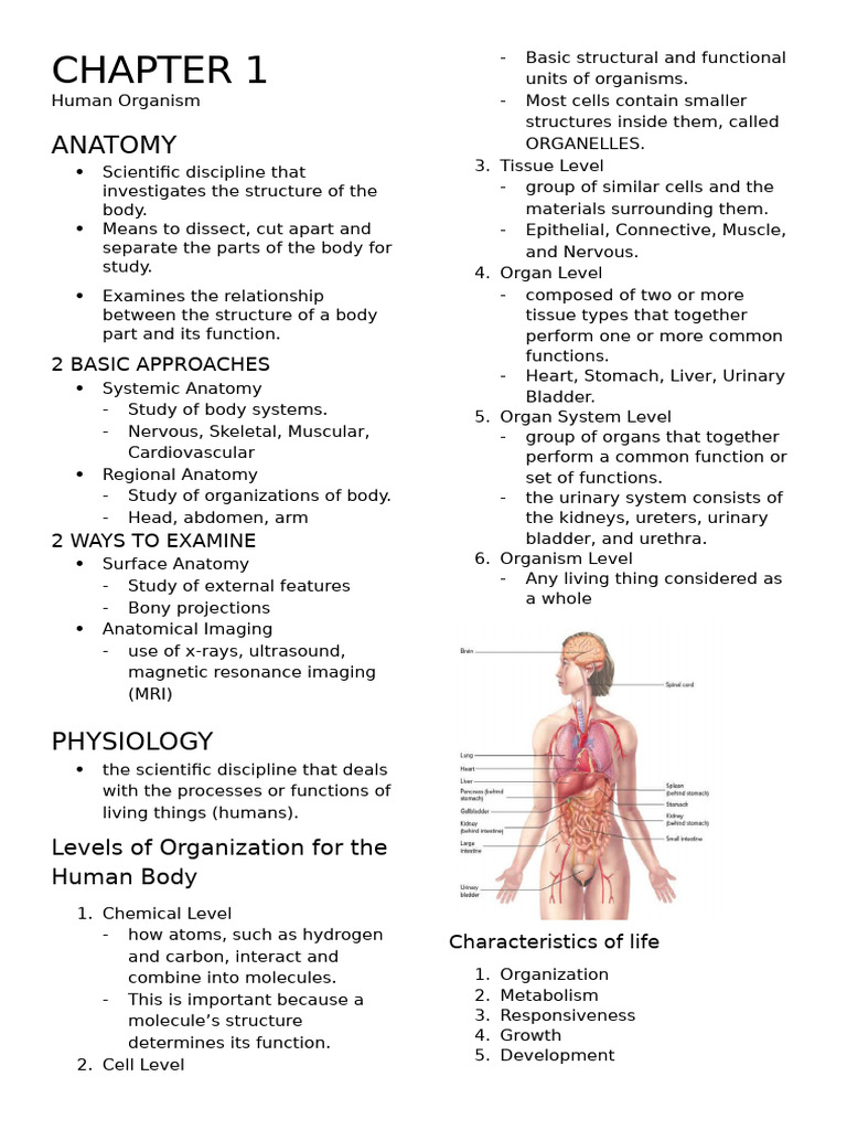 Anatomy and Physiology Overview | PDF | Human Body | Self-Improvement