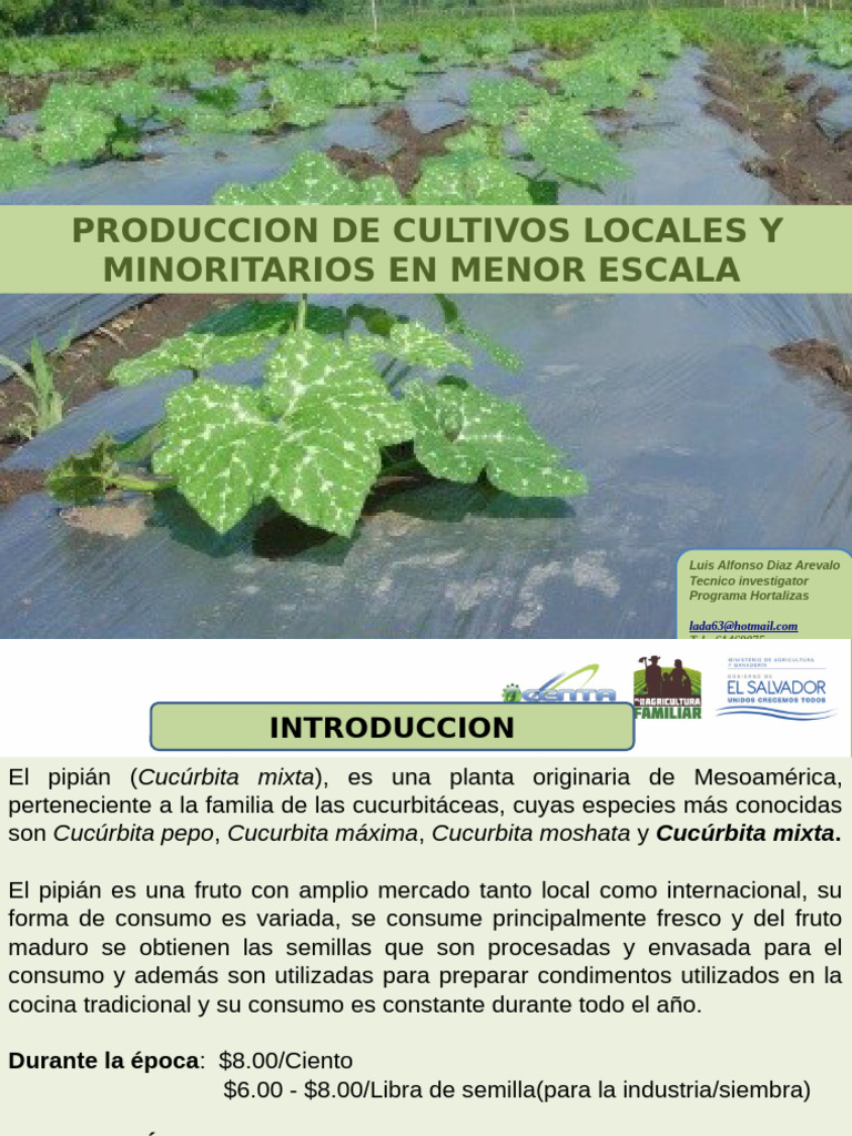 Pipian y Ayote Lada2017 | PDF