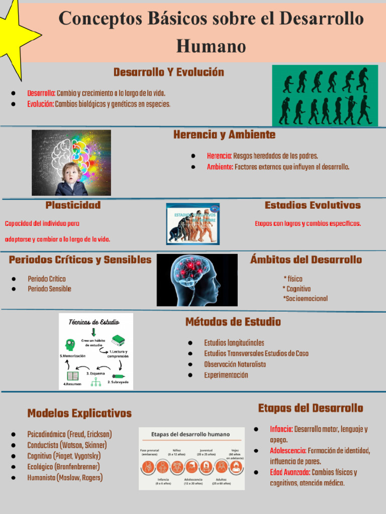 Infografia Docx Pdf