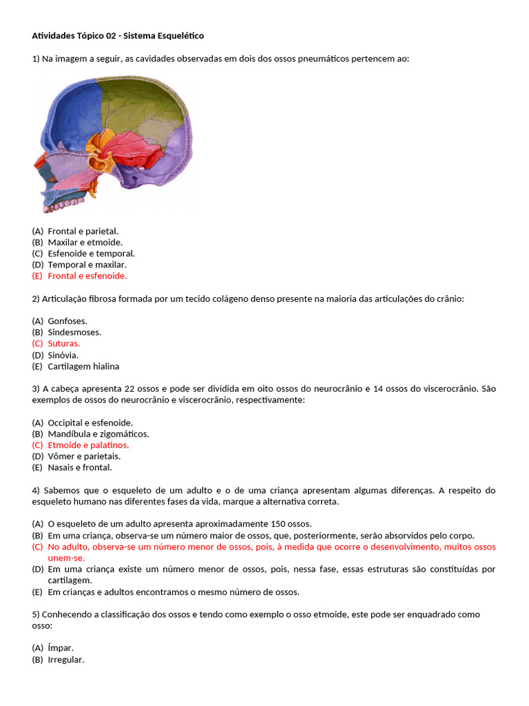 Questões sobre Sistema Esquelético | PDF | Esqueleto | Esportes e Recreação