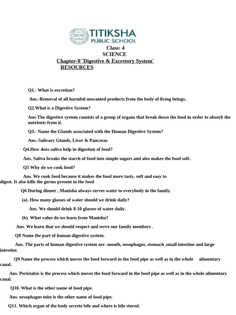 Digestive & Excretory System Class 4 Worksheet | PDF | Digestion | Wellness