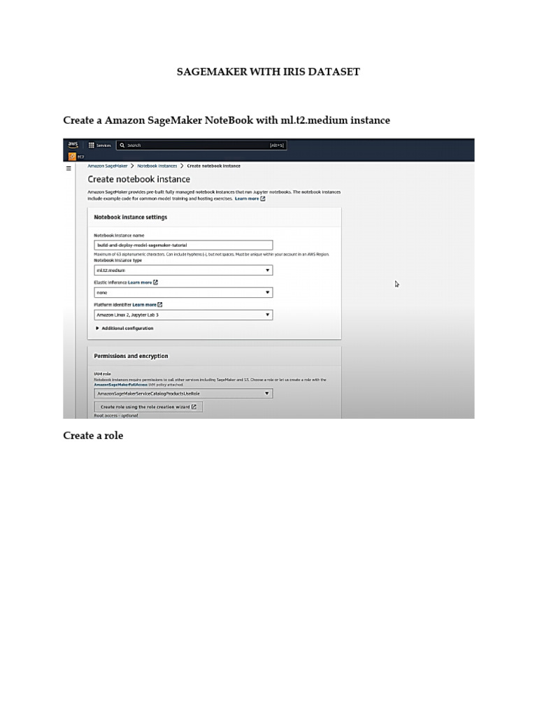 Aws Sagemaker Example | PDF