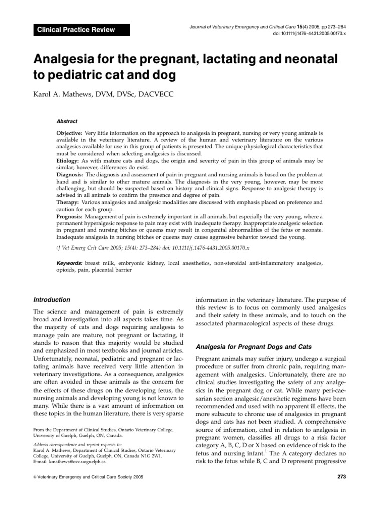 Analgesia For Mother Parturient | PDF