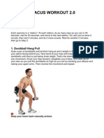 The Spartacus Workout 2.0 Intense Circuit Training