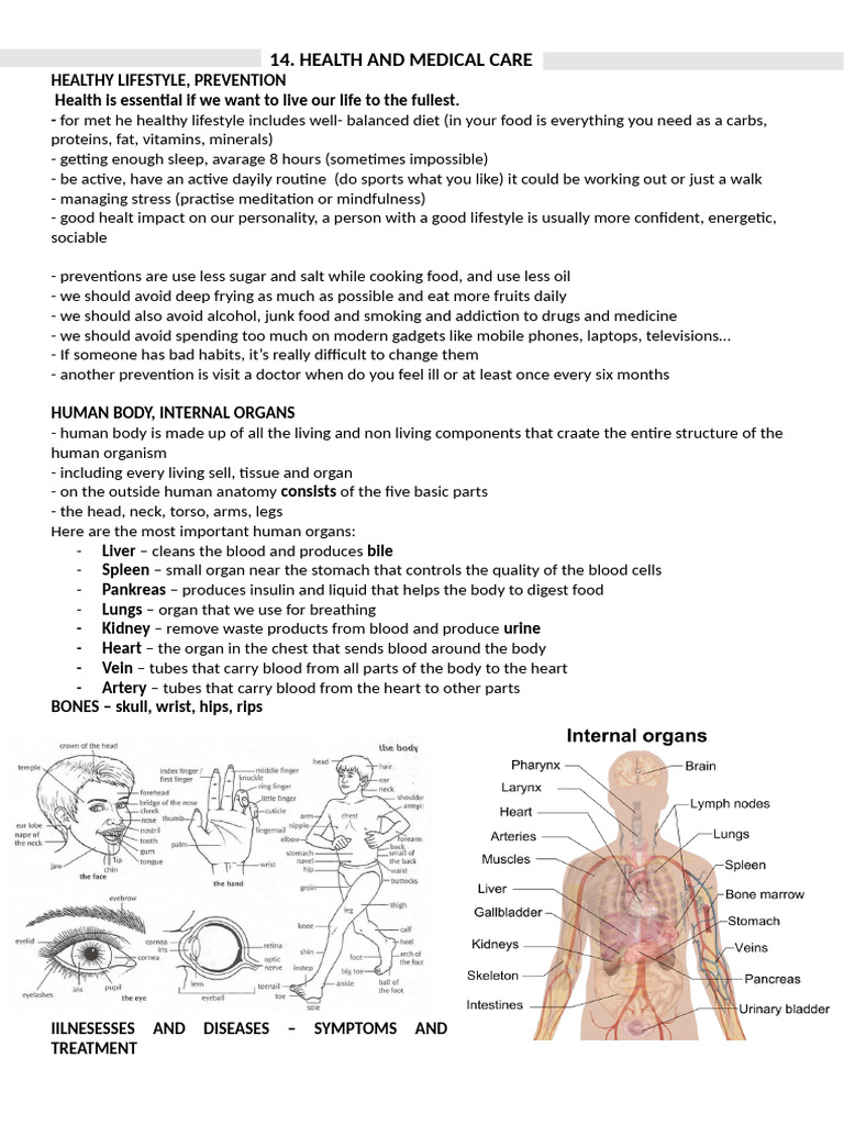 Health and Medical Care | PDF