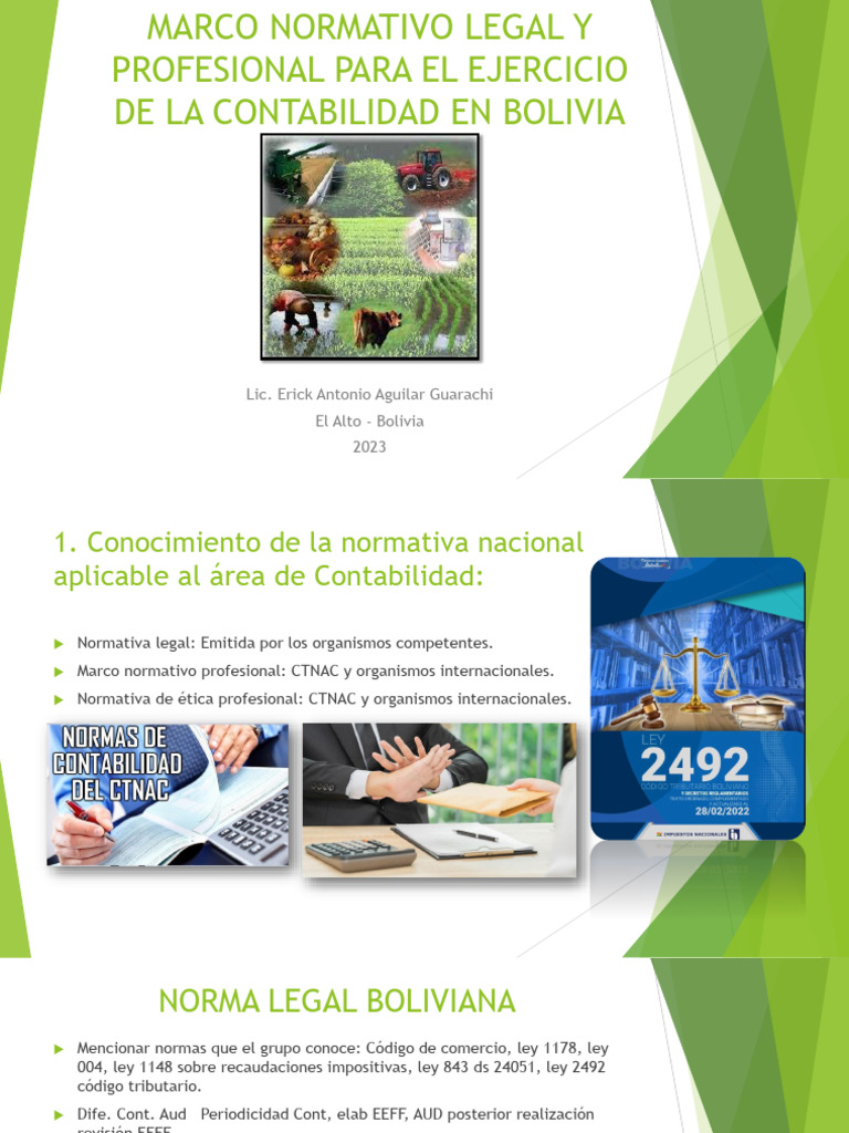 Marco Normativo Legal y Profesional para El Ejercicio | PDF