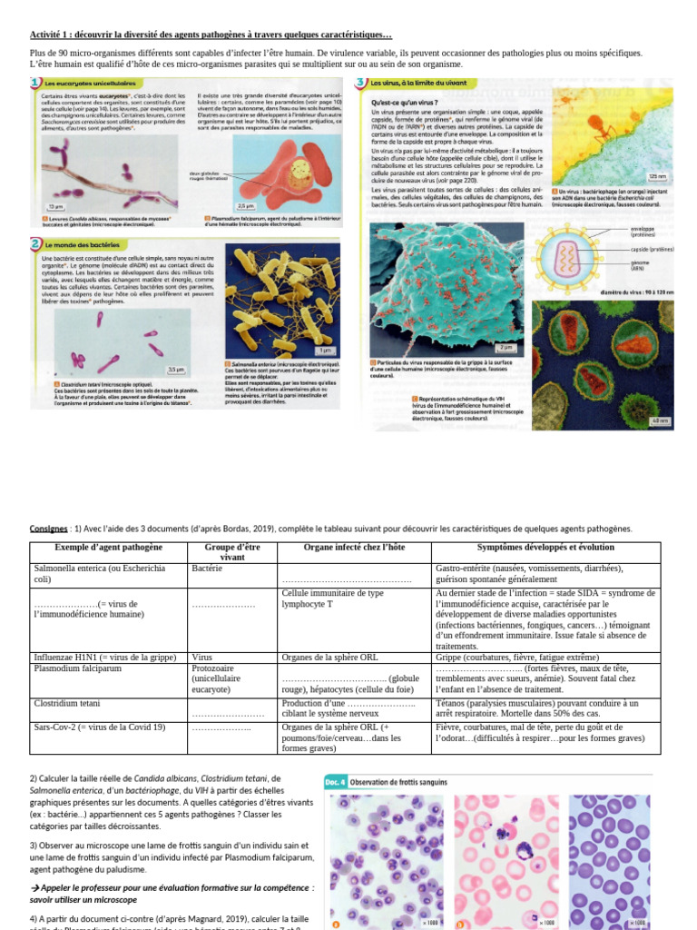 Chap 1 Activité 1 Maladies Infectieuses | PDF