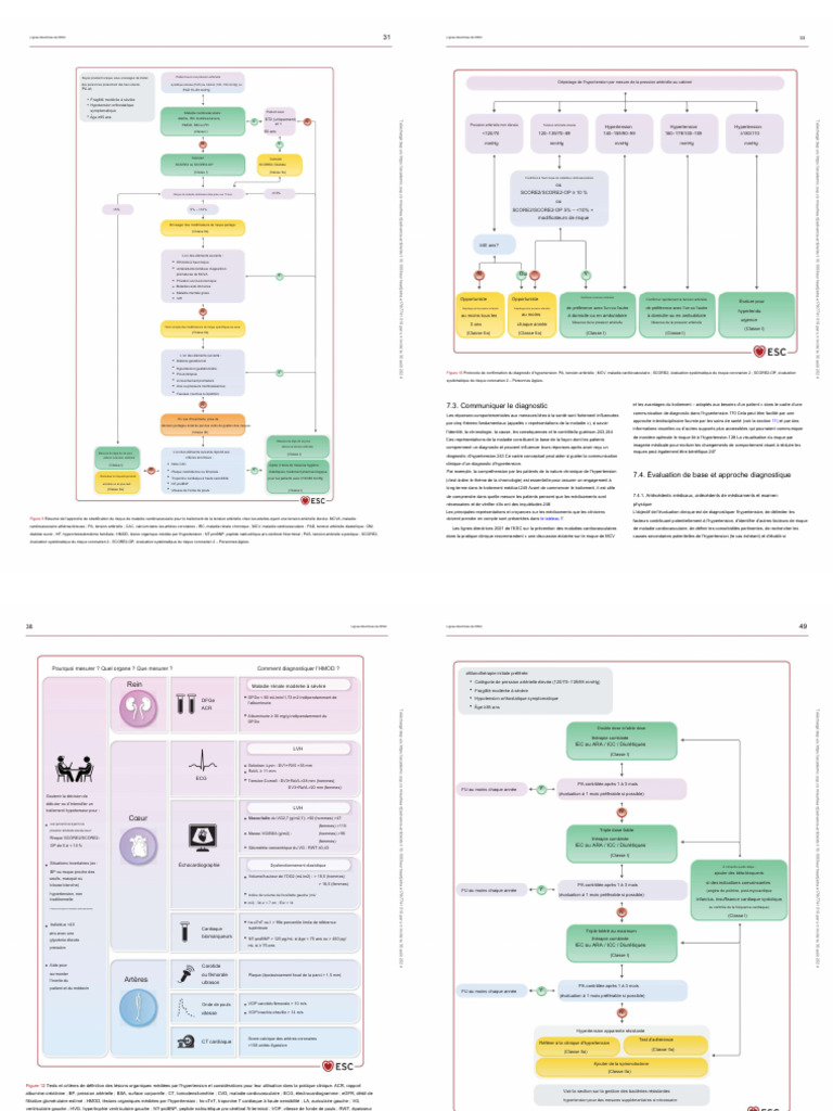 Recos HTA 2 | PDF | Pressure | Blood Pressure