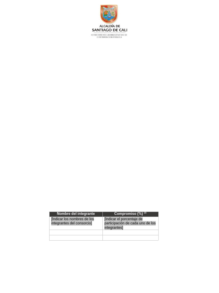 Formato 2 - Conformacion de Proponente Plural | PDF