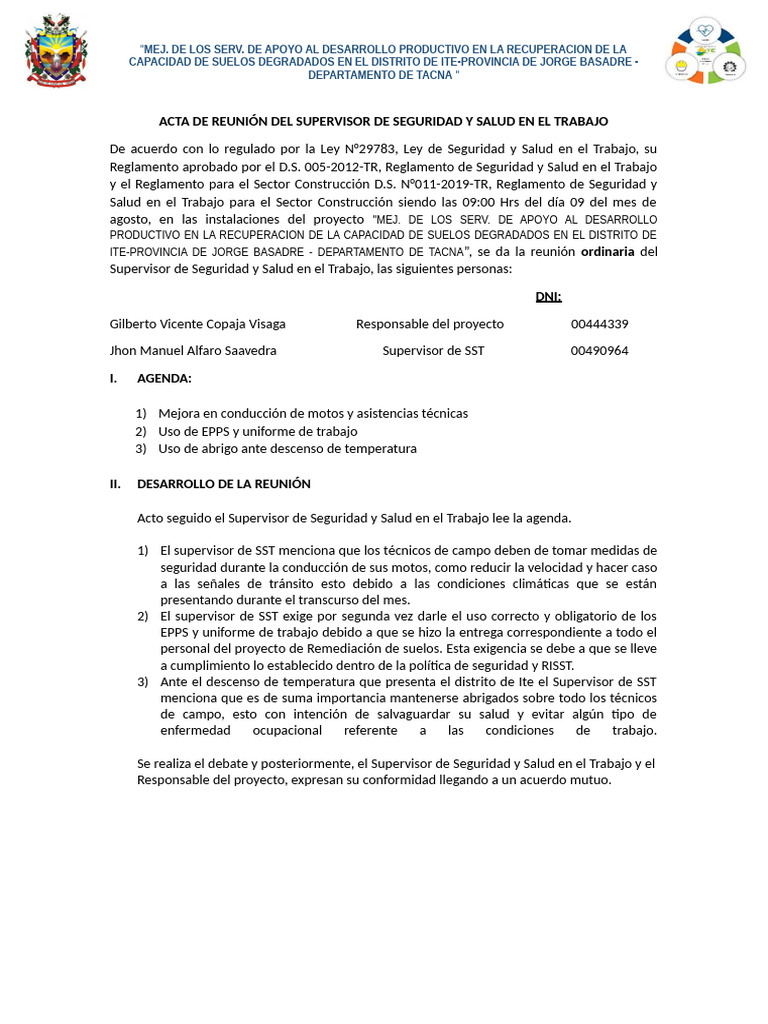 Acta de Reunión de Seguridad y Salud en El Trabajo Suelos | PDF