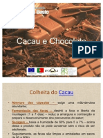 Cacau e Chocolate