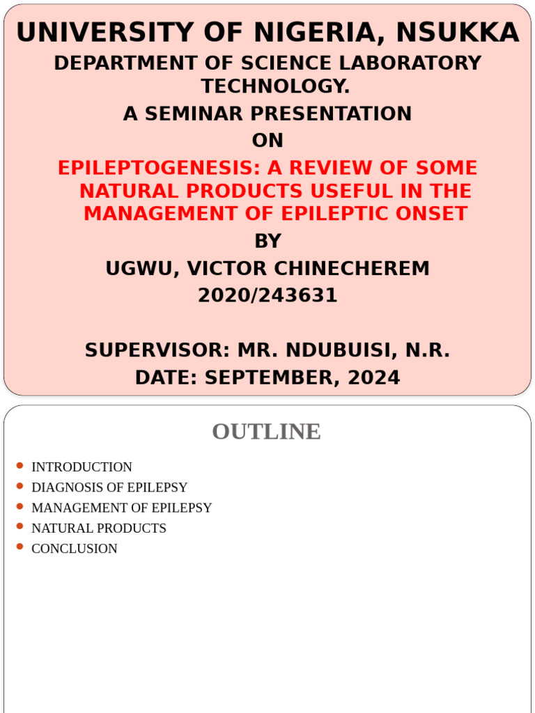 Ugwu Victor Power Point Edited | PDF