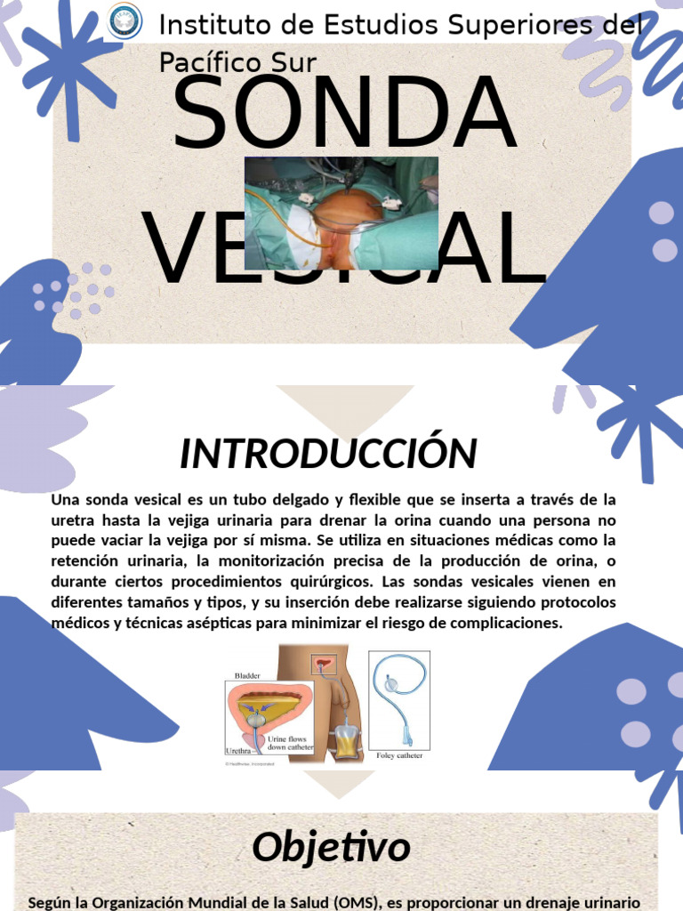 Sonda Vesical y Enemas | PDF