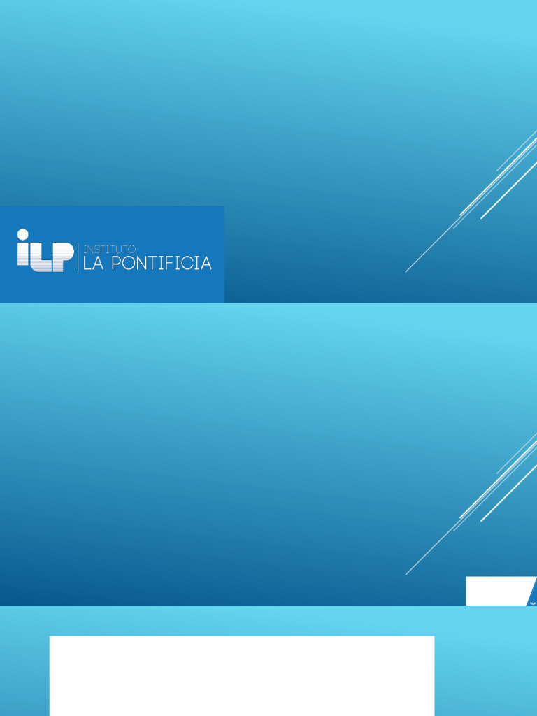 I.L.P. Control Interno 1 | PDF