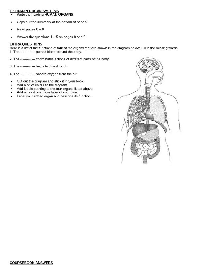 1.2 Human Organs | PDF | Foreign Language Studies