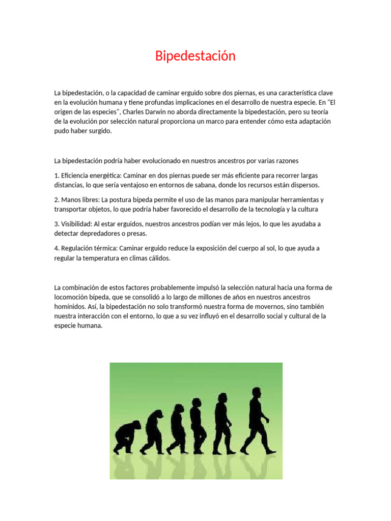 historia-pdf
