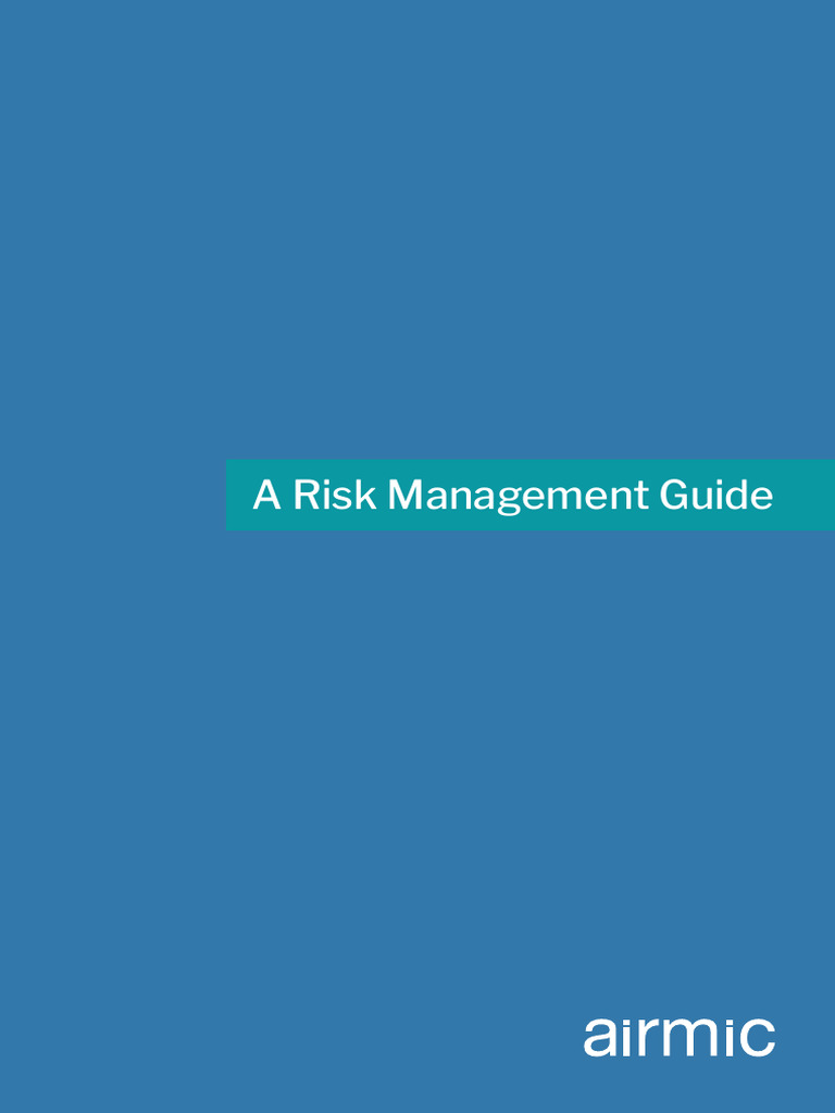 Risk Management Guide | PDF