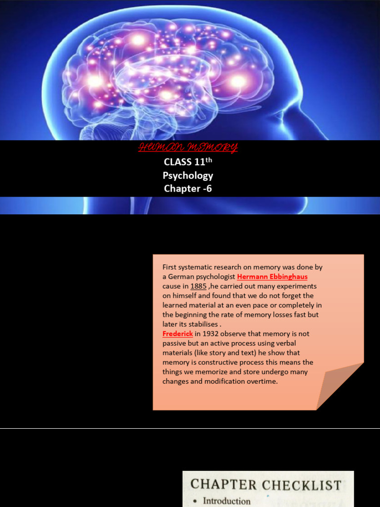 Psychology visual data 4