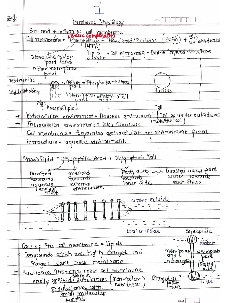 1. CELL MEMBRANE(NEW) | PDF