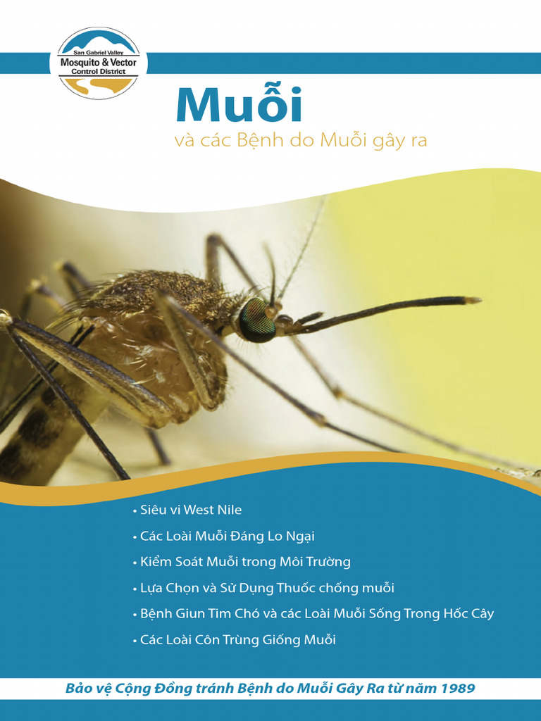Blue Mosquito Booklet - Vietnamese | PDF
