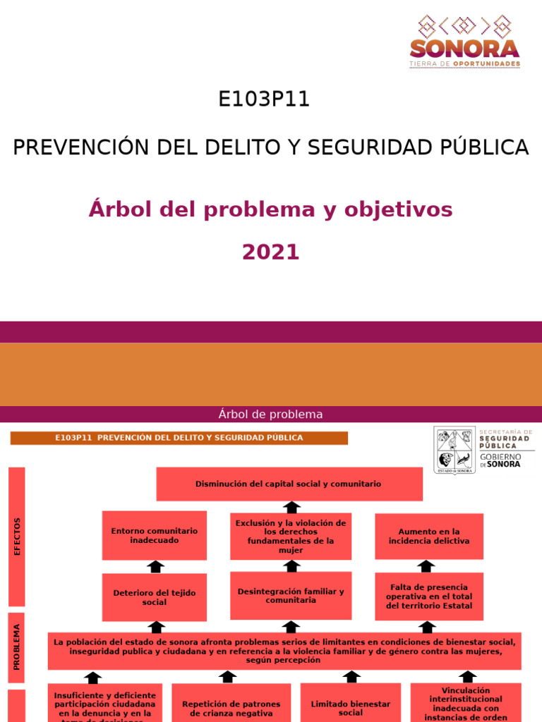 E103p11 Prevencion Del Delito y Seguridad Publica Arbol de Problemas y ...