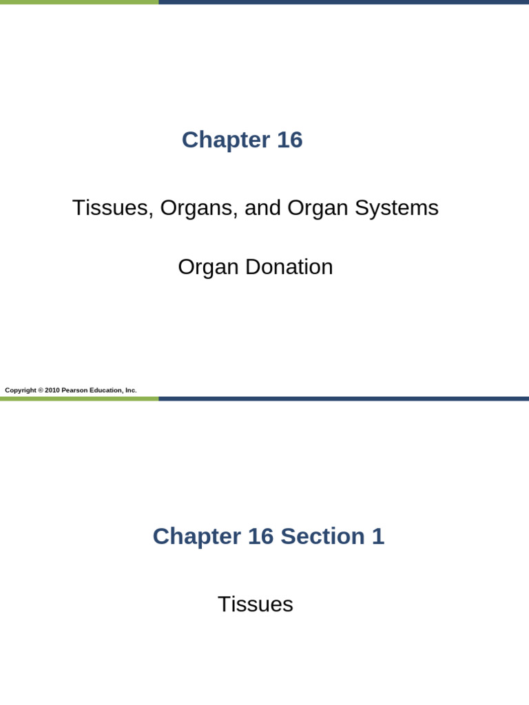 Tissues, Organs and Systems1 | PDF