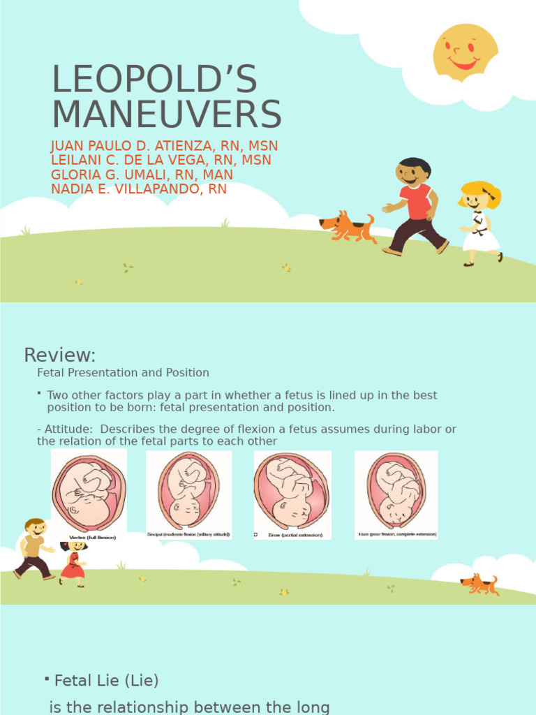 Leopolds Maneuvers 2 | PDF