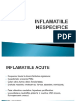 LP4-inflamatii nespecifice