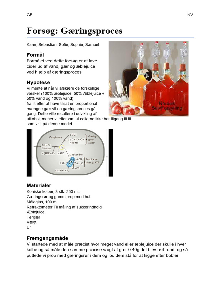 Journal - Gæringsproces - Biologi | PDF