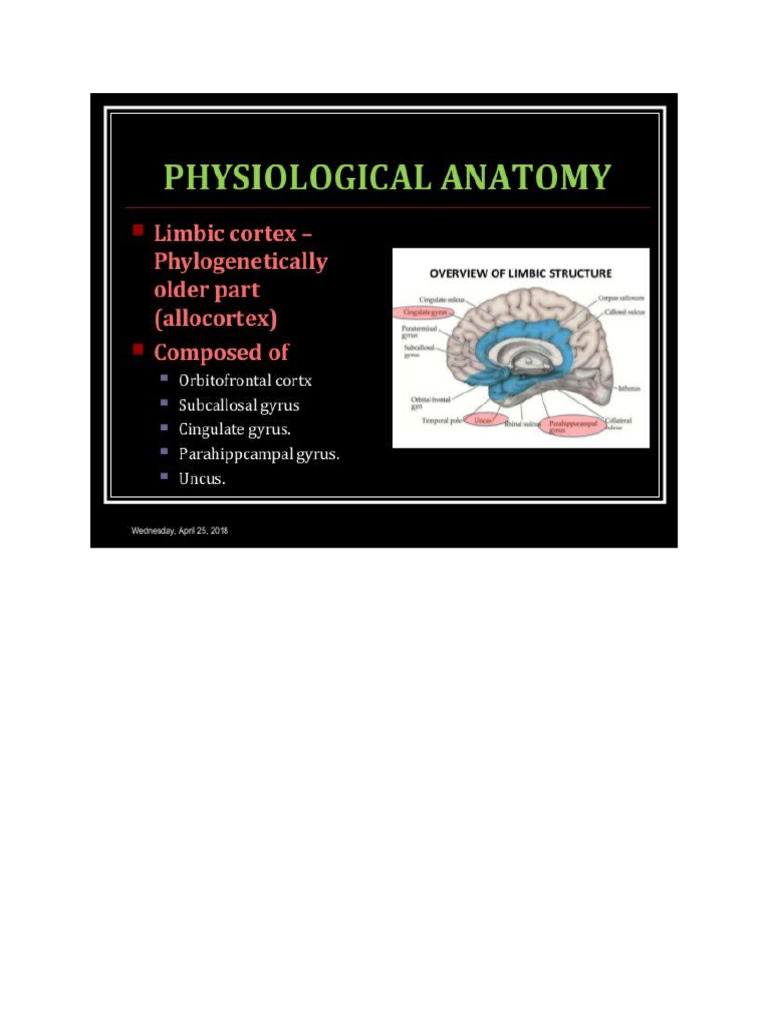Limbic Cortex | PDF