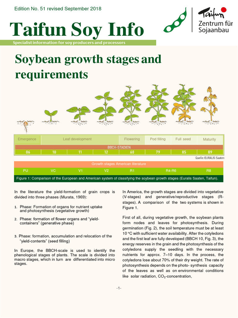 27 Soybean Growth Stages Converted 003 002 - 240222 | PDF