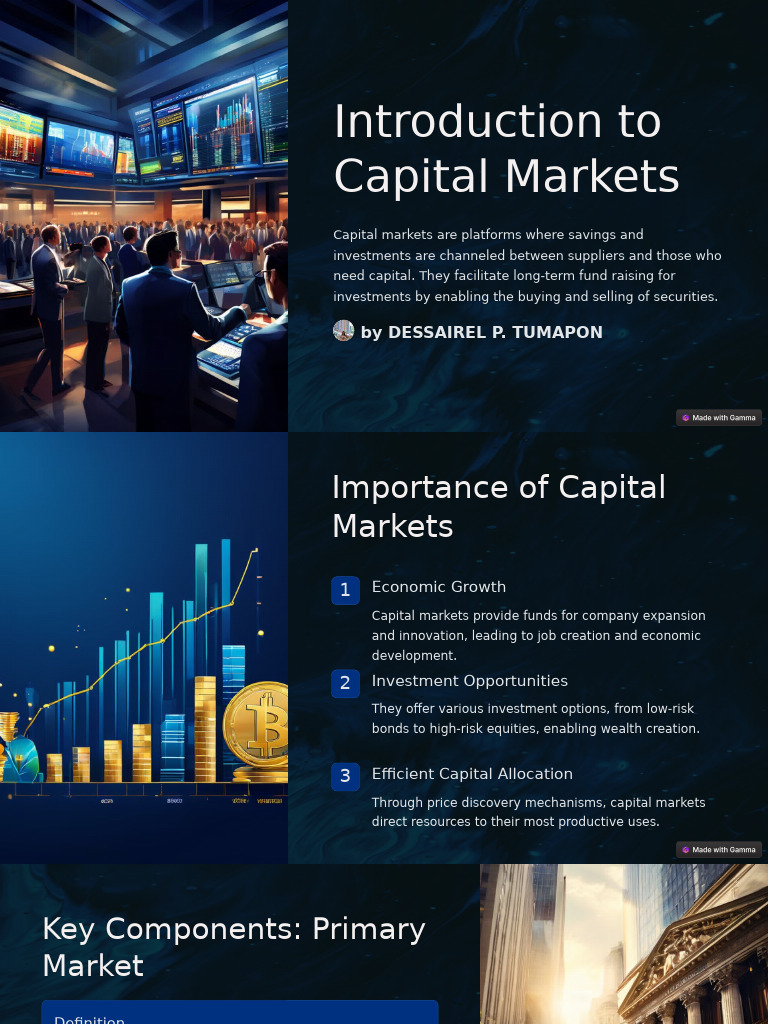 Introduction To Capital Markets 014942 | PDF