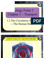 Biology Form 5 - The Human Heart