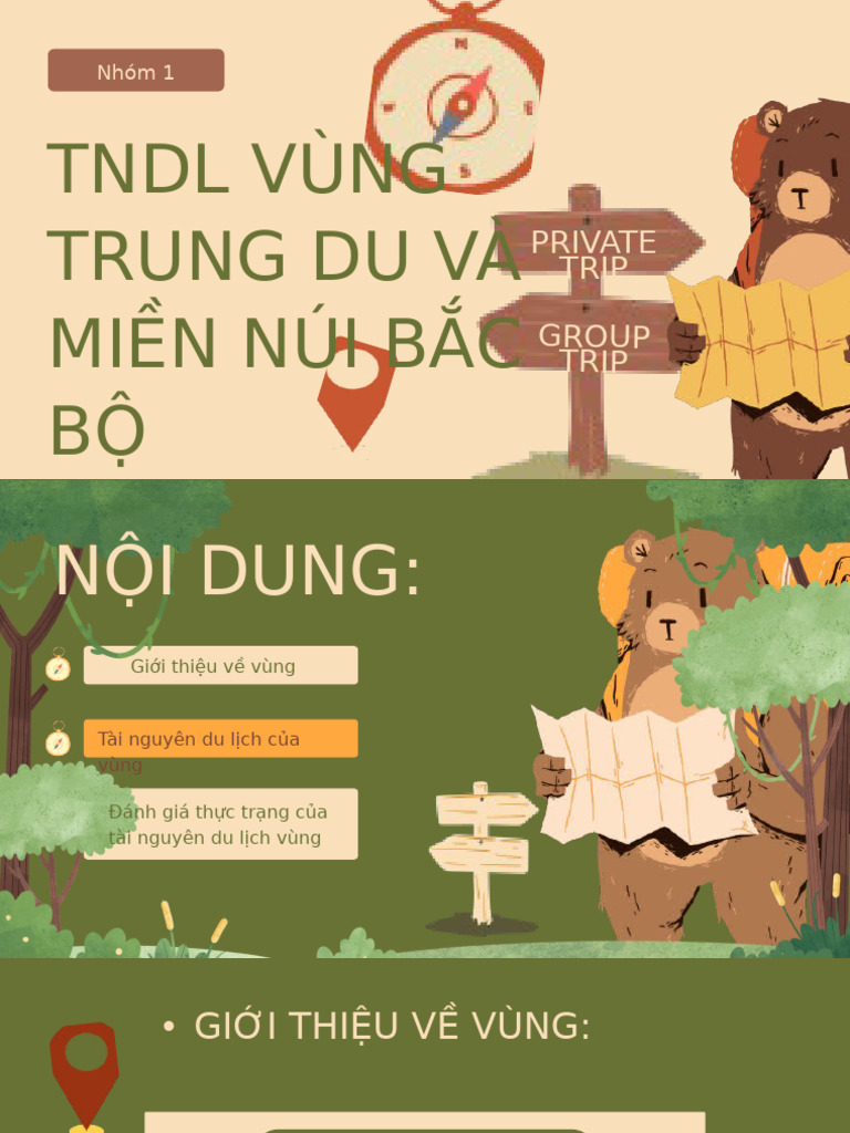 TNDL Vùng 1 | PDF