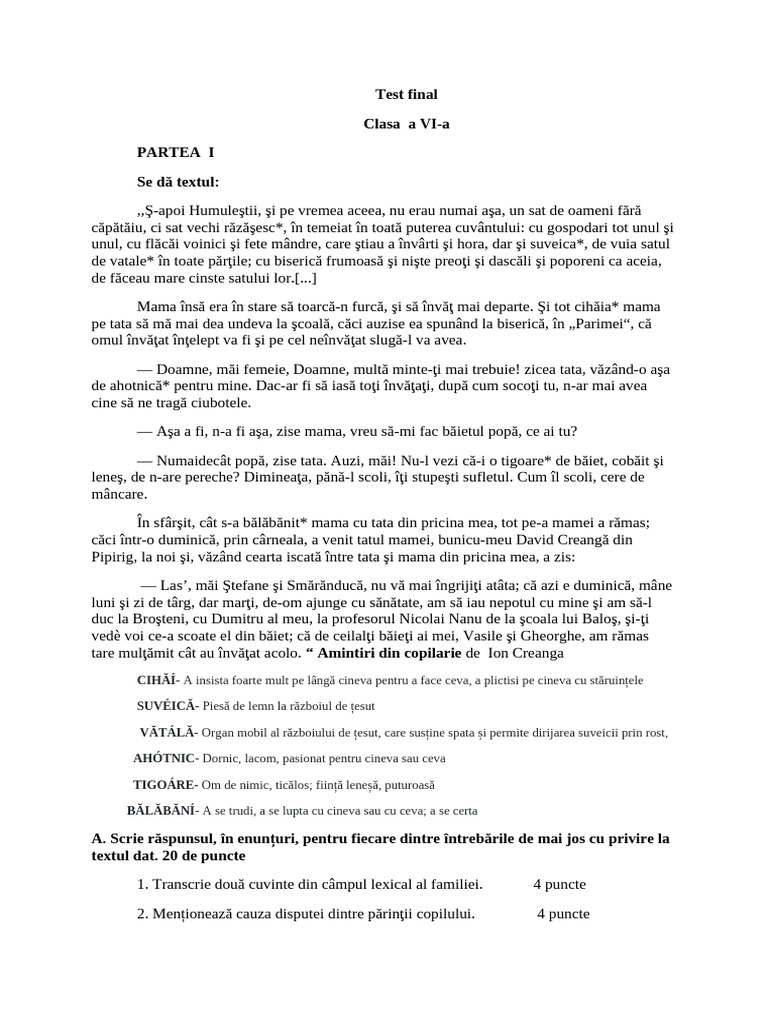 Test Final Clasa AVI A 1 | PDF