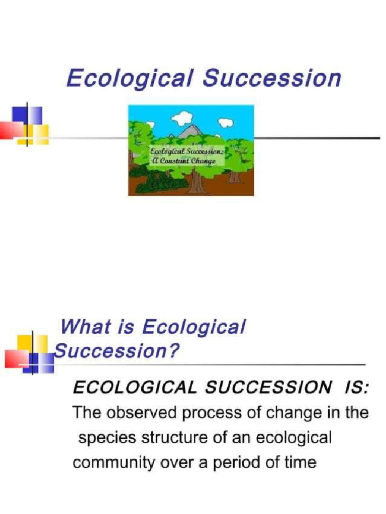 Succession | PDF