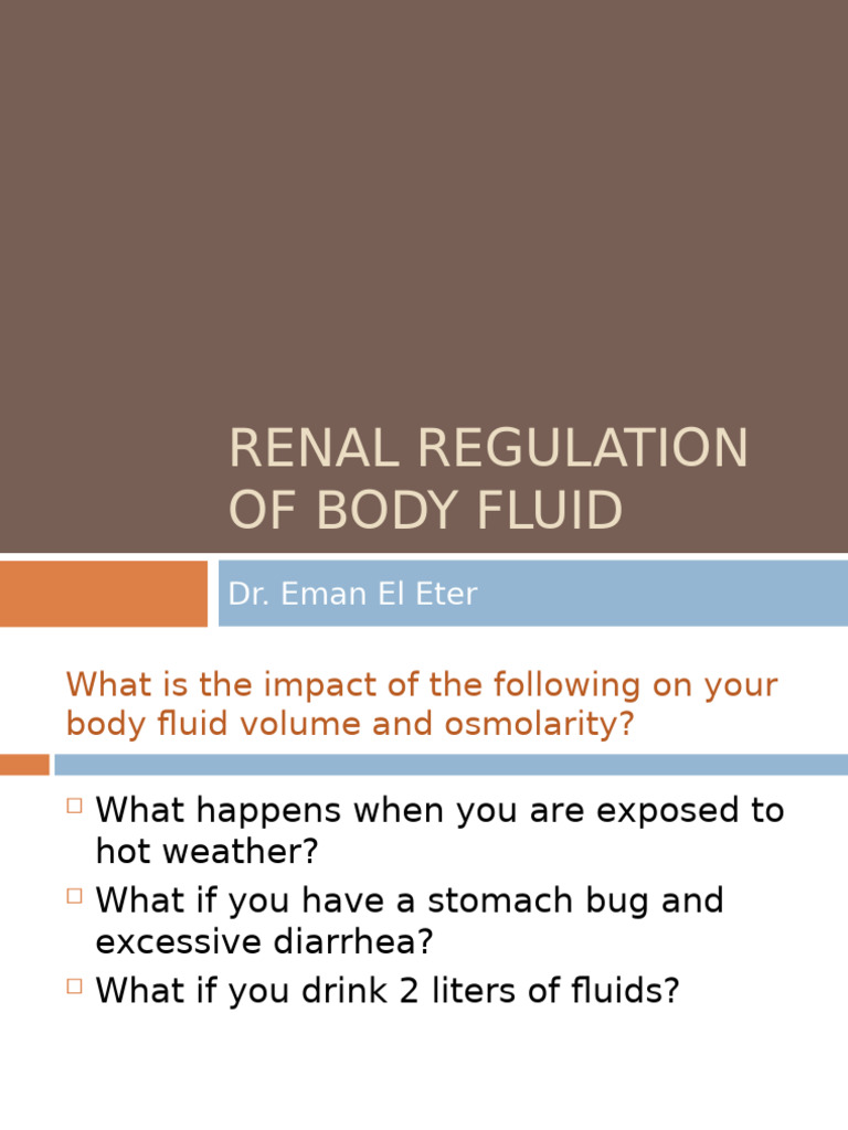L7 - Renal Regulation of Body Fluid | PDF