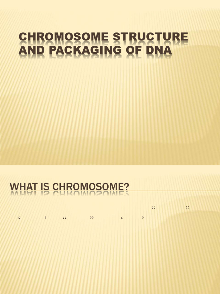 Chromosome Structure and Packaging of Dna: Presented By: Dipti Narwal ...