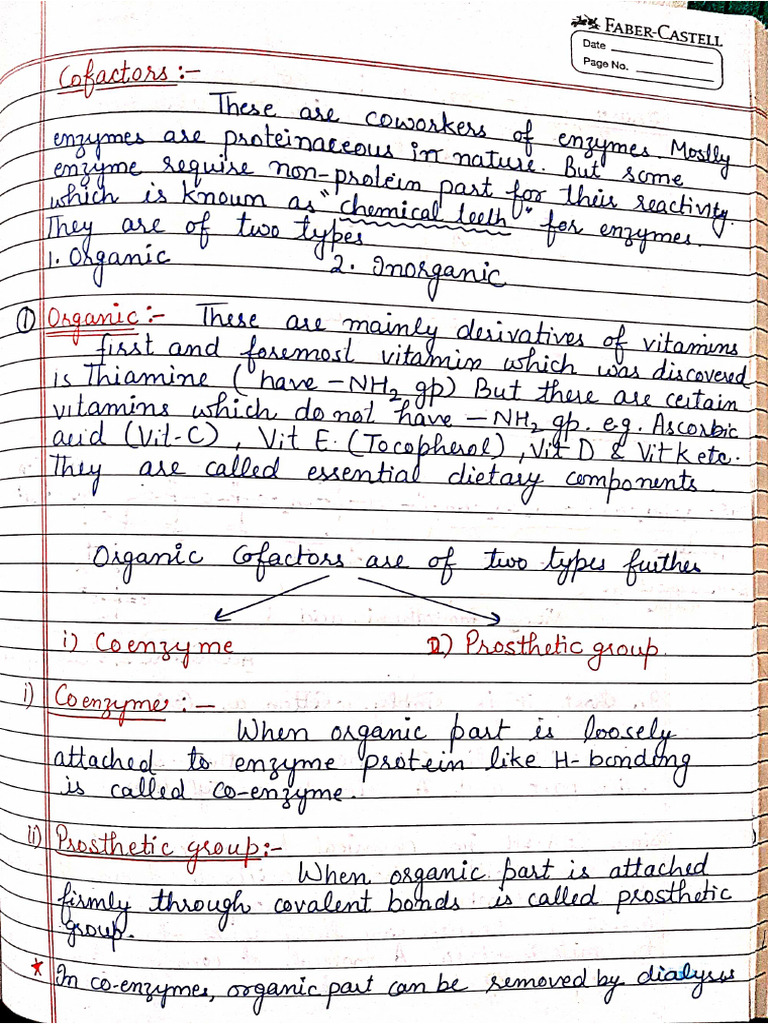 Coenzyme A Notes | PDF