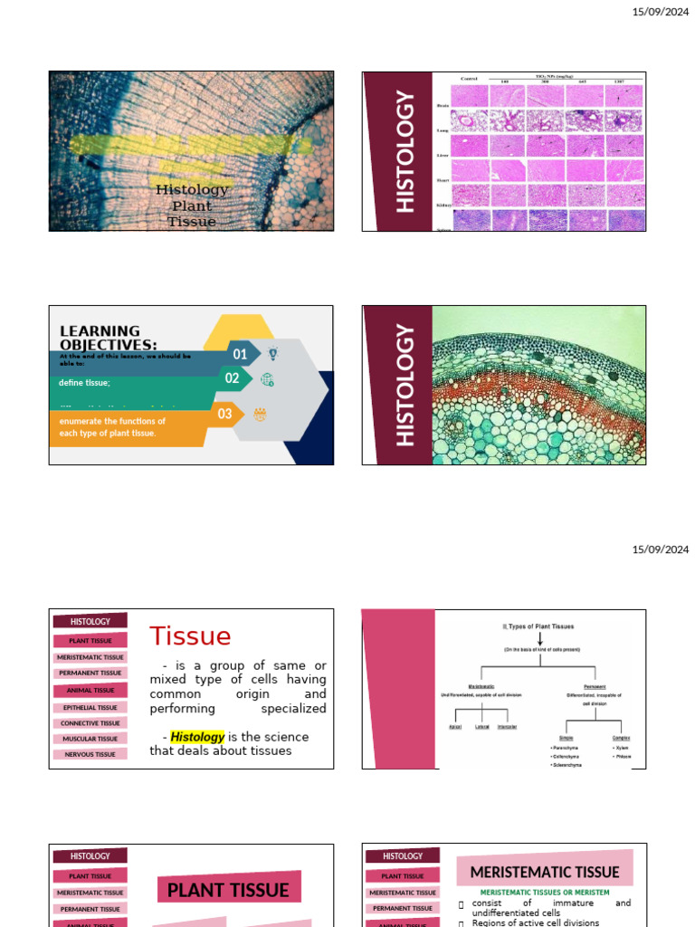 GB1 2 Plant and Animal Tissue Handouts Compressed | PDF