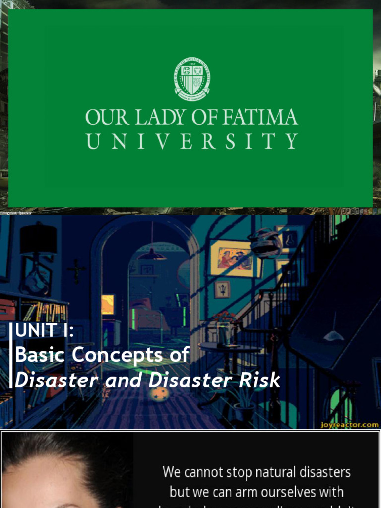 UNIT 1 - Basic Concepts of Disaster and Disaster Risk | PDF