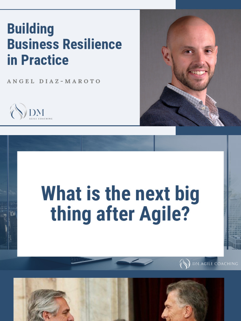 Business Resilience and Innovation Strategies | PDF | Psychological ...
