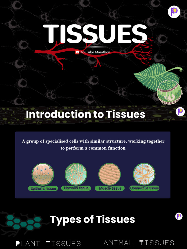 Tissues Tissues | PDF