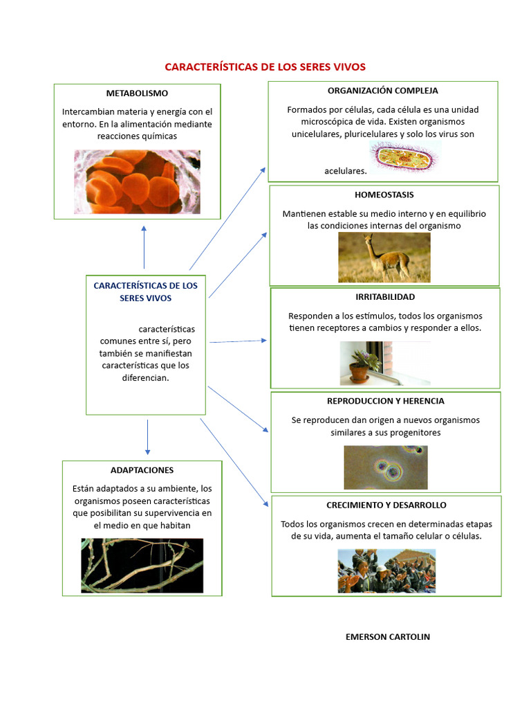 Características Clave de los Seres Vivos | PDF